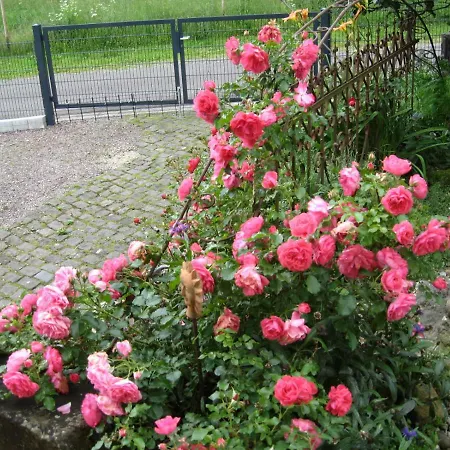 Haus Honnef Am Wald Thiergarten (Rhineland-Palatinate)